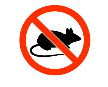 Dératisation professionnelle Arcachon